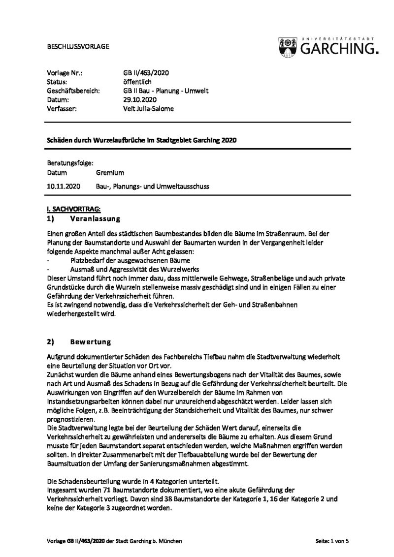 Baum Fällen Ohne Beschluss Baum Fällen Ohne Beschluss