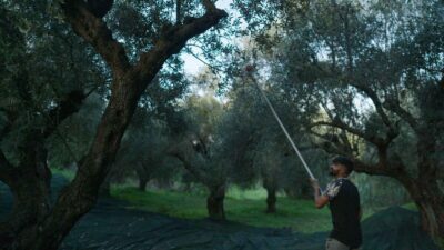 Pickers_10_Many_harvest_workers_in_the_Kalamata_region_of_Greece_come_from_Pakistan._©_Marcus_Zahn