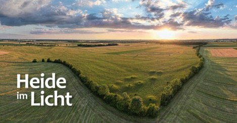 'Heide im Licht' + Grüner Stammtisch am 3.8.